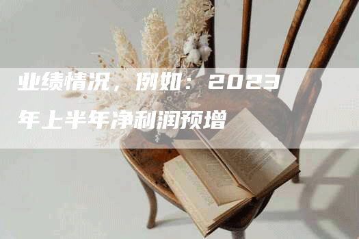 业绩情况，例如：2023年上半年净利润预增