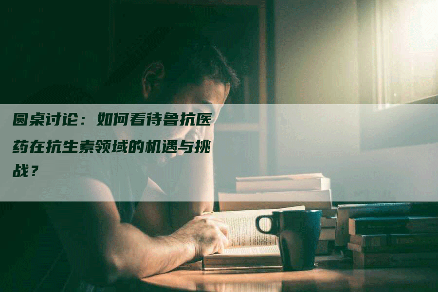 圆桌讨论：如何看待鲁抗医药在抗生素领域的机遇与挑战？