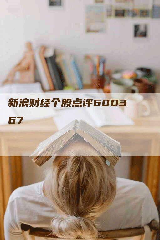 新浪财经个股点评600367