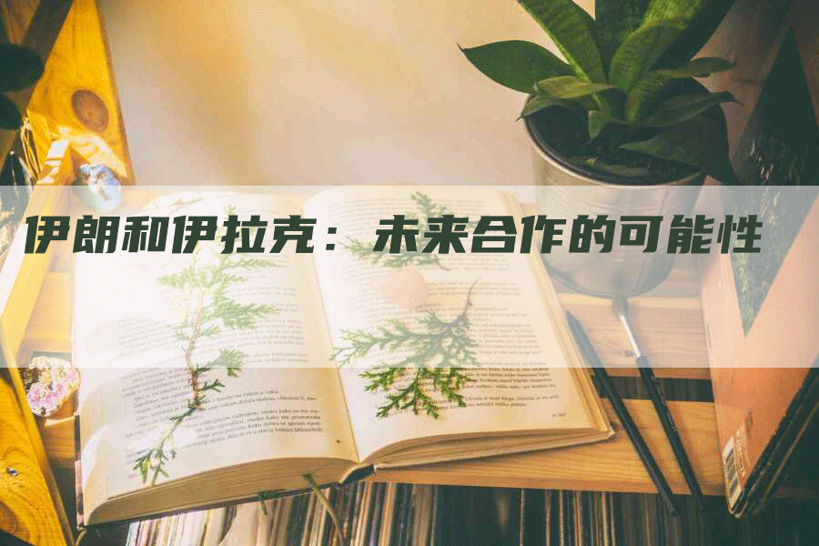 伊朗和伊拉克：未来合作的可能性