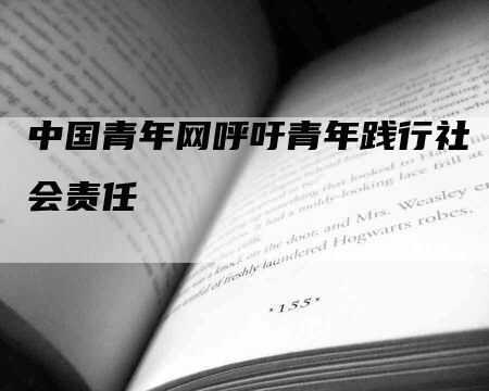 中国青年网呼吁青年践行社会责任