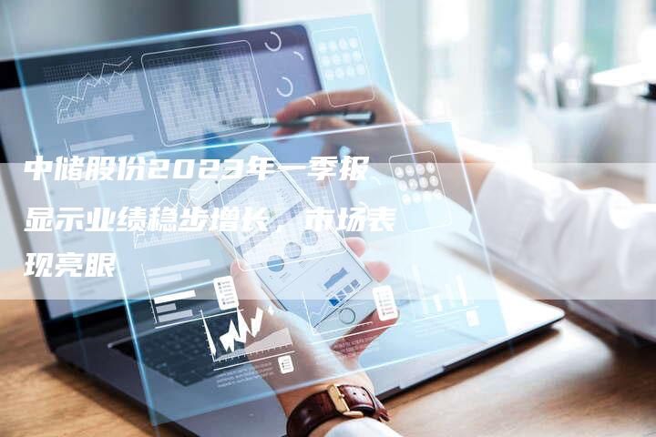 中储股份2023年一季报显示业绩稳步增长，市场表现亮眼