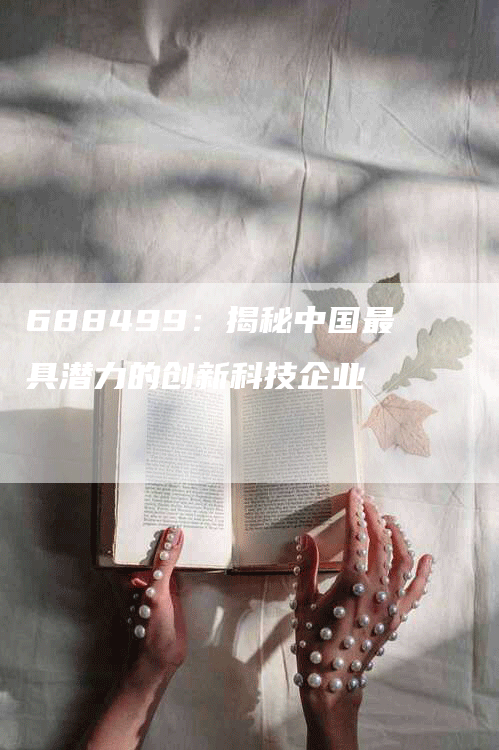 688499：揭秘中国最具潜力的创新科技企业